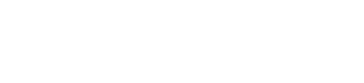 Wixzel wordmark, white (PNG)